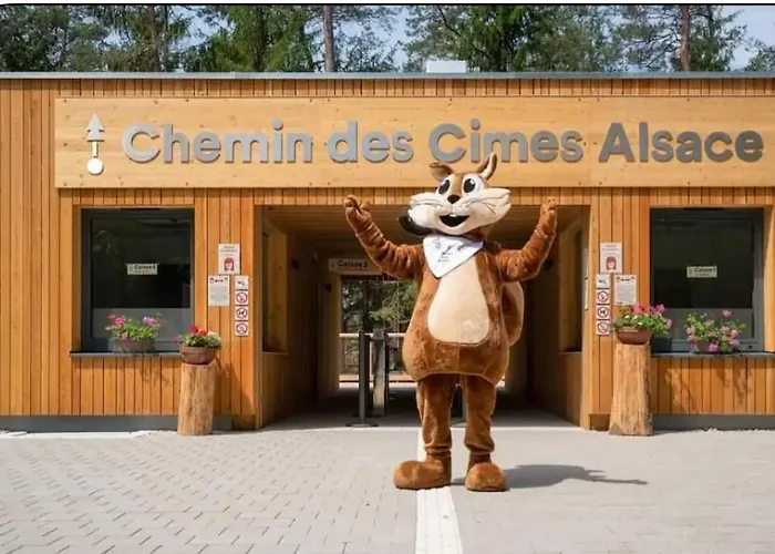 شقة Le Doux Sapin ليمباش